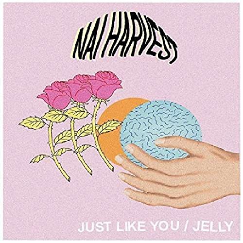 Album cover for Nai Harvest’s “Just Like You” with roses and hand.
