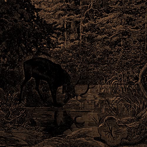 Engraved illustration of a deer drinking from a pond in a forest.
