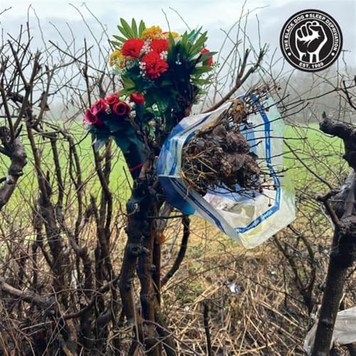CD cover: flowers and trash tied to bare branches in a field.