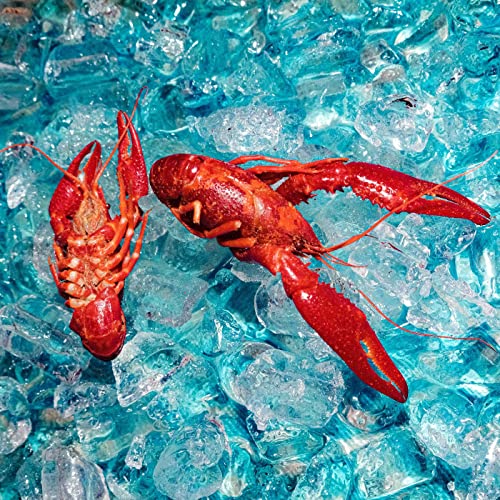 Vinyl album cover featuring three bright red crawfish on blue ice.