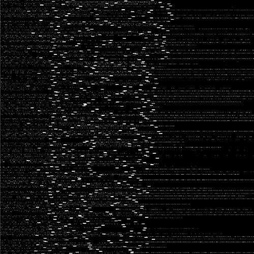 Black and white abstract digital art resembling branching lines.