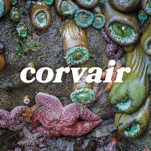 Sea anemones and the word "corvair" on a textured background.