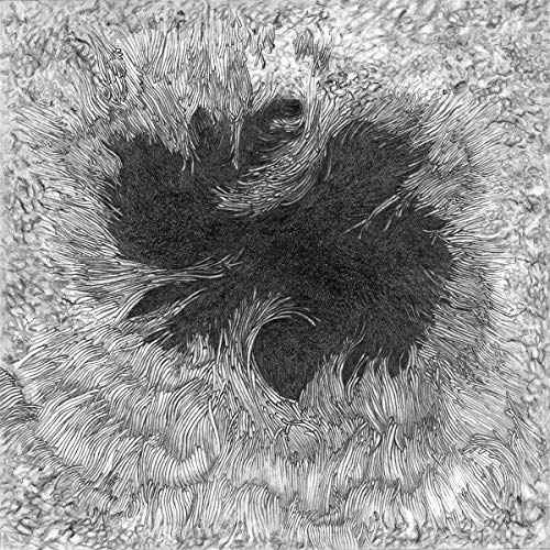 Black and white abstract illustration of a swirling, textured vortex.