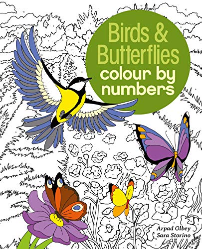Birds & Butterflies Colour by Numbers (Arcturus Colour by Numbers Collection, 7)