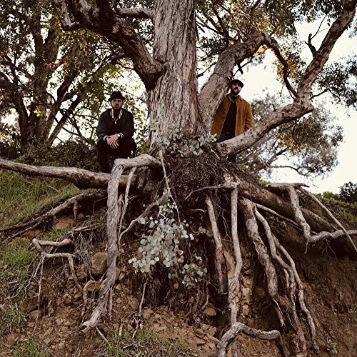 Two men sit amongst the roots of a large tree outdoors.