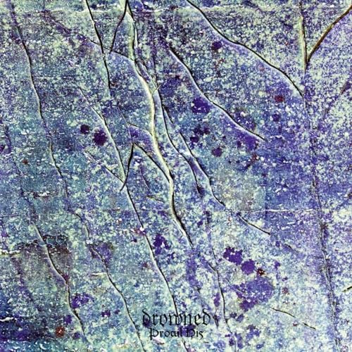 Abstract blue and purple textured album cover with text at bottom.