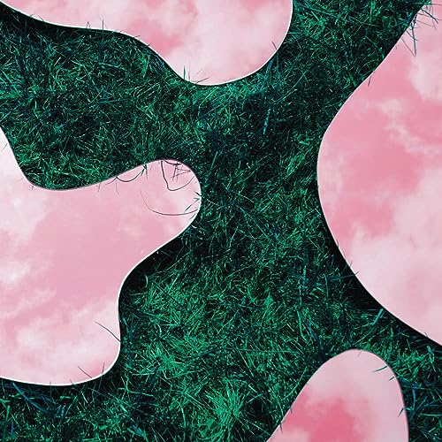 Close-up of textured green shapes against a pink, cloudy background.