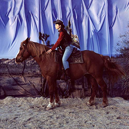 Woman on a brown horse in a desert landscape with blue fabric.