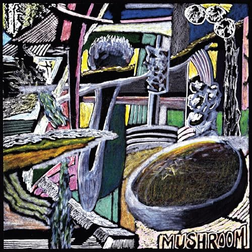 Album cover for Mushroom, featuring abstract, colorful, psychedelic artwork.