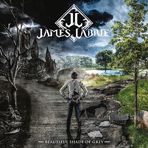 Album cover: a man stands with his back turned in a desolate landscape.