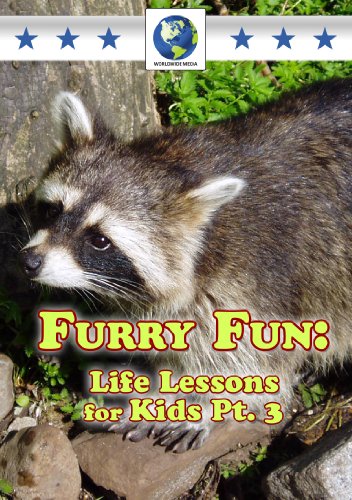 DVD cover featuring a raccoon with text: "Furry Fun: Life Lessons for Kids.