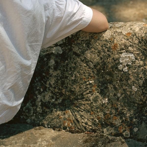 Vinyl record cover with a close-up of a textured rock and arm.