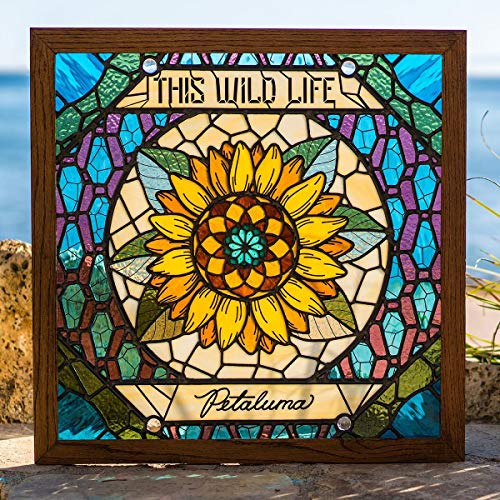 CD cover for "This Wild Life - Petaluma" featuring a sunflower design.