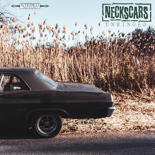 Vinyl record cover: damaged car in tall, dry grasses under sky.