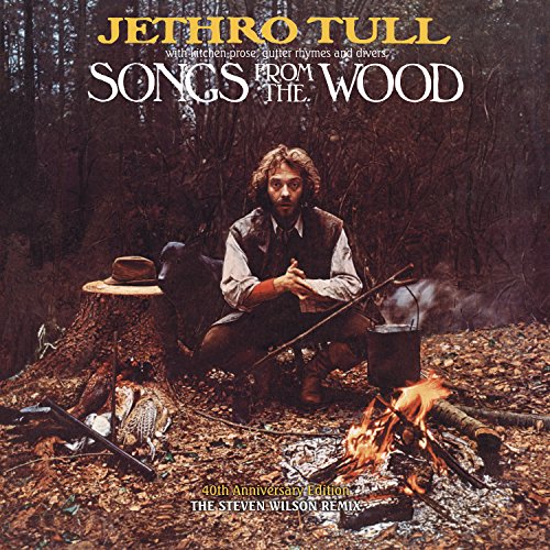 Jethro Tull album cover: man by a campfire in a forest.