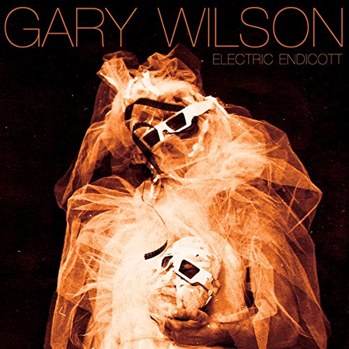 Gary Wilson album cover: figure in plastic wrap and sunglasses.