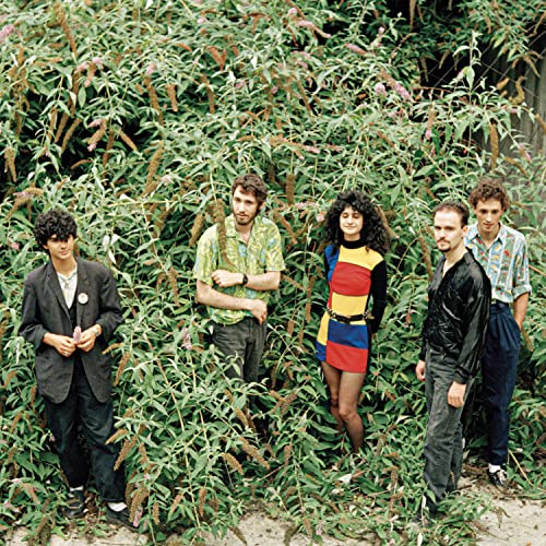 Psyko Tropix band portrait: five people standing amongst foliage.