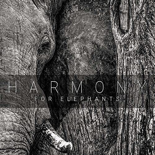 Close-up of an elephant’s face and trunk beside a tree, grayscale.