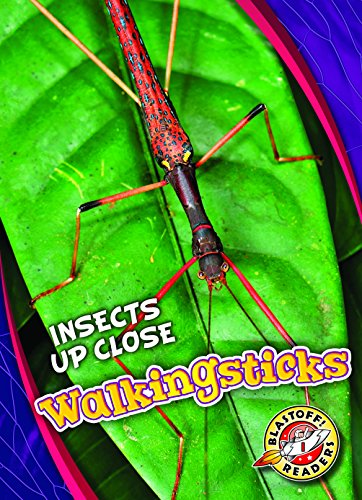 Walkingsticks (Insects Up Close)
