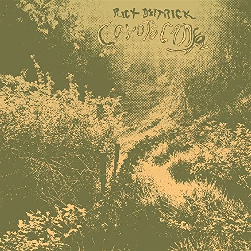 Rick Deitrick’s “Coyote Canyon” vinyl album cover, textured desert landscape.