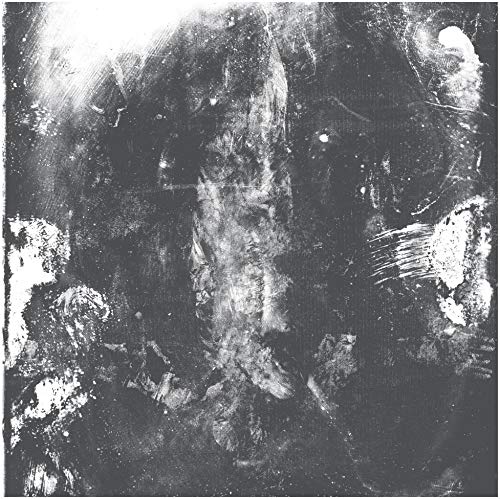 Abstract black and white textured image, possibly a face or landscape.