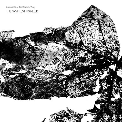 Black and white album cover with fragmented leaf imagery.