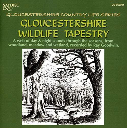 CD cover with a detailed sketch of trees and an owl in a forest.