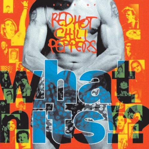 Album cover featuring a shirtless man in patterned boxers surrounded by small band photos.