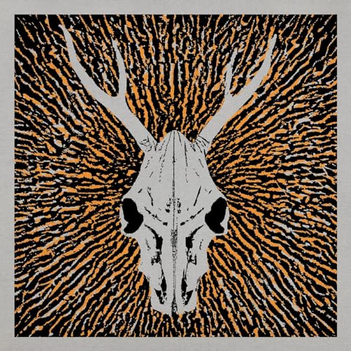 Animal skull with large antlers against an orange and gray textured background.