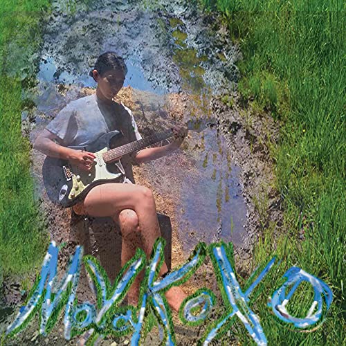 Man playing guitar seated in water and grass, album artwork.