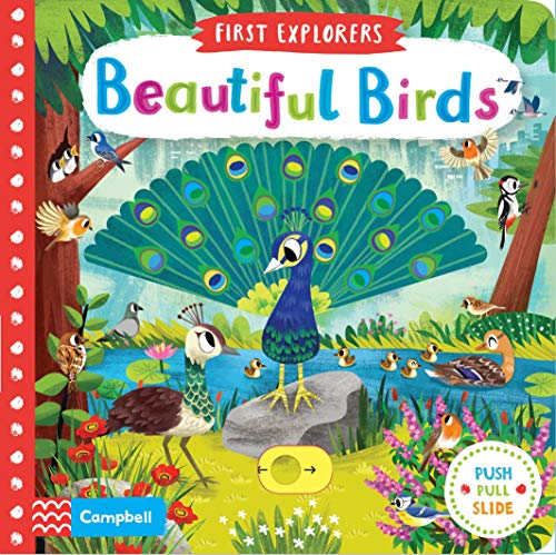 Beautiful Birds (First Explorers) (Campbell First Explorers)