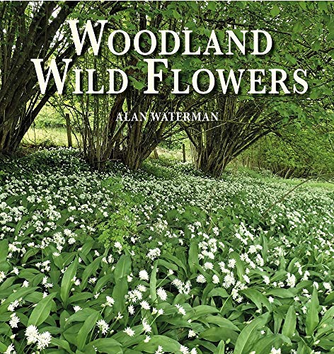 Woodland Wild Flowers: Through the Seasons