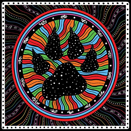 CD cover with colorful, circular design featuring a black bear paw print.