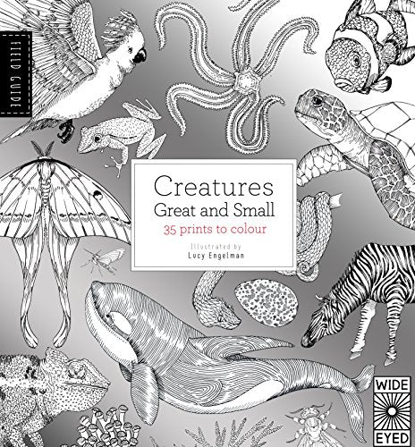 Field Guide: Creatures Great and Small (Field Guides)