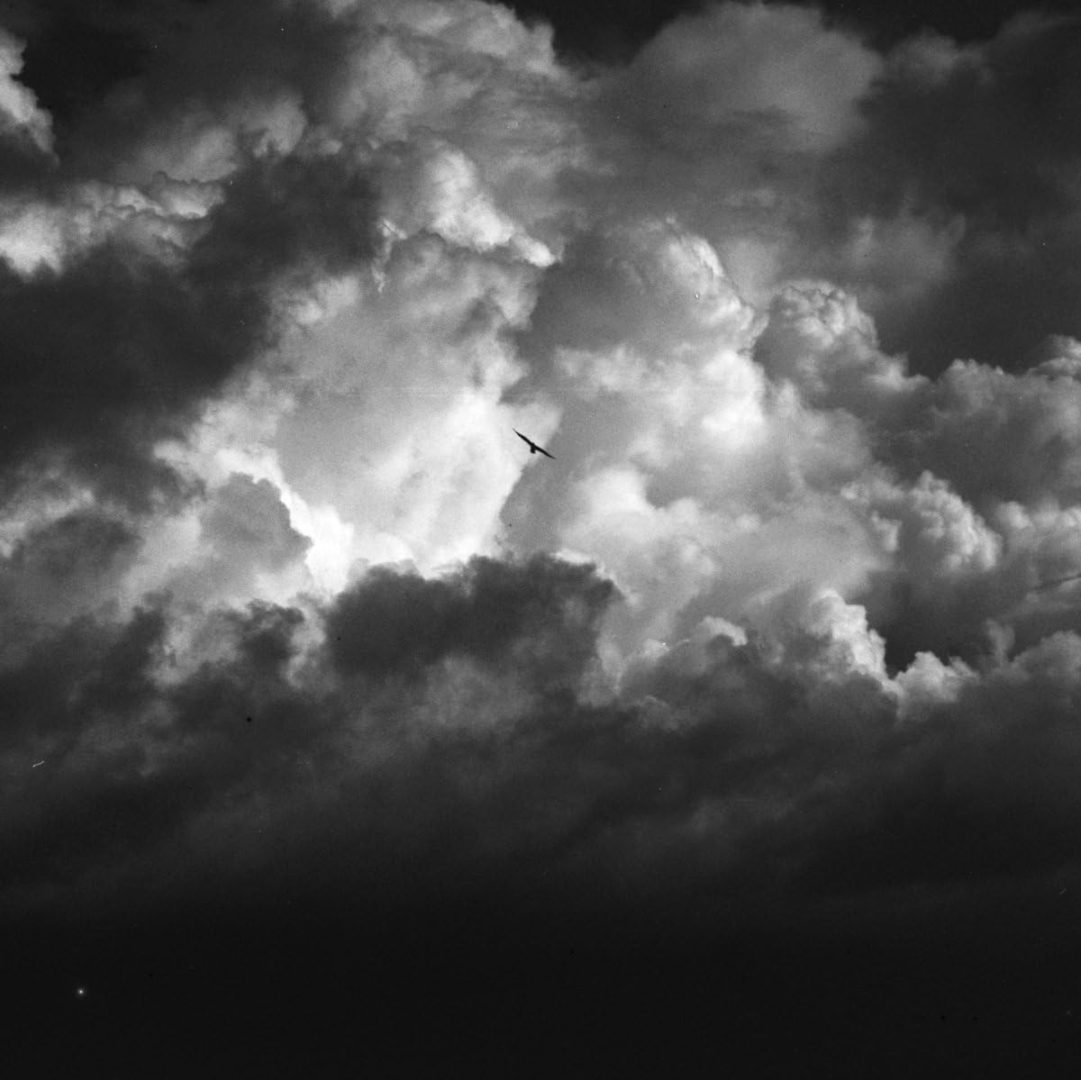 Black and white image of dramatic clouds with a small bird flying.