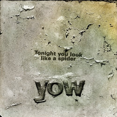 Vinyl record cover with distressed texture and embossed text: "YOW" and lyrics.