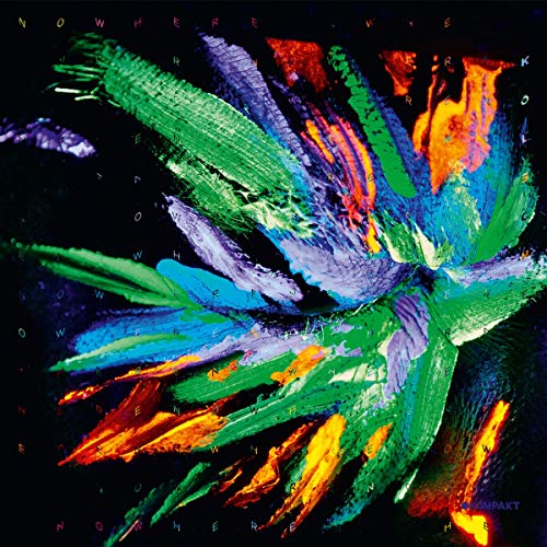 Vinyl record cover with abstract, colorful brushstroke floral design.