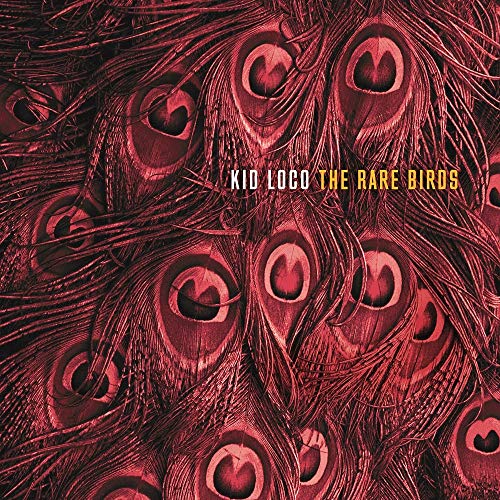 Album cover for Kid Loco’s “The Rare Birds” featuring peacock feathers.