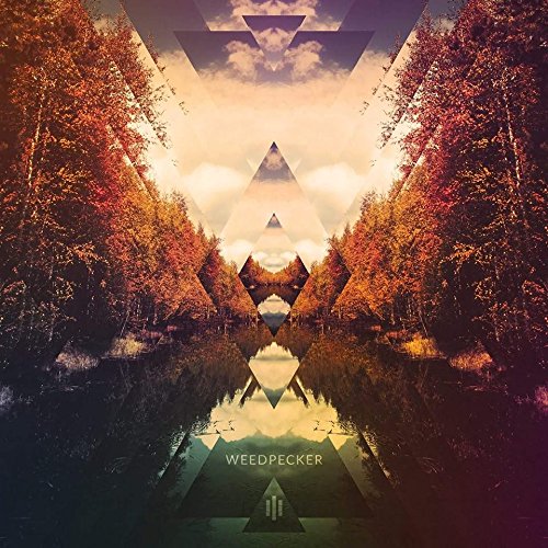 Album cover with mirrored trees and geometric shapes, titled “Weedpecker.”