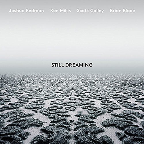 CD cover for "Still Dreaming" featuring a textured, grey landscape.