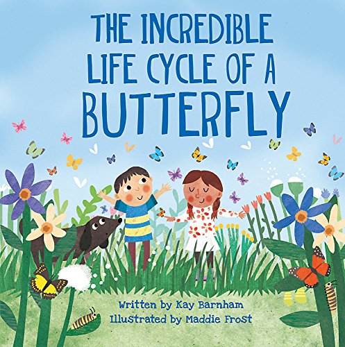 The Amazing Life Cycle of Butterflies (Look and Wonder)