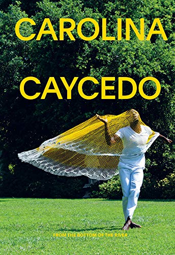 Book cover featuring a person draped in a yellow net, standing in grass.