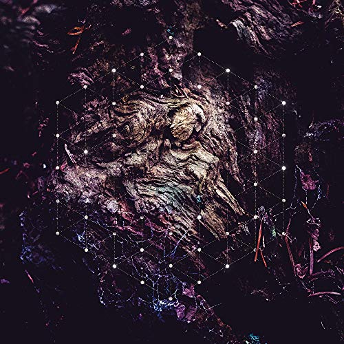 CD cover with textured tree bark and geometric white lines.