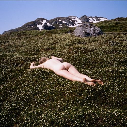 Nude figure lying in a field of wildflowers with mountains backdrop.