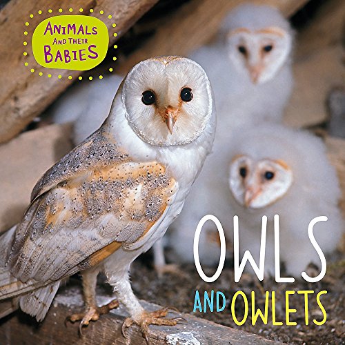 Owls & Owlets (Animals and their Babies)