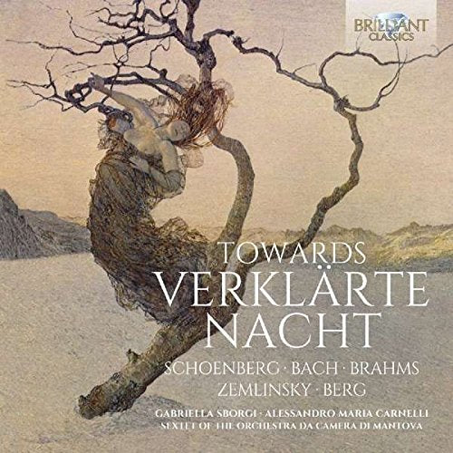 CD cover with a painting of a couple embraced in a tree.