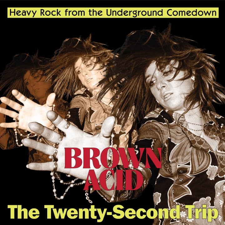 CD cover: two musicians with long hair, text "Brown Acid: The Twenty-Second Trip".