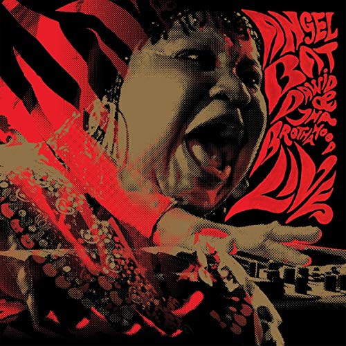 Vinyl album cover featuring a halftone portrait of a person with red accents.