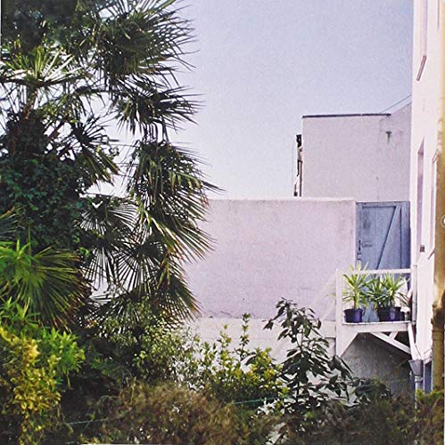 CD cover with a pale, sunlit view of a wall and foliage.