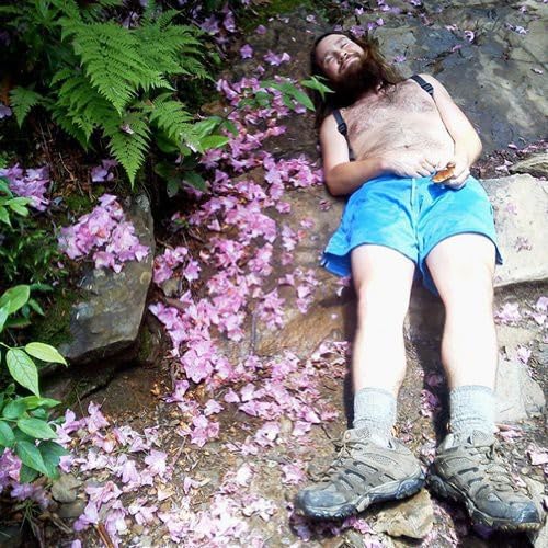 Man with beard lying among pink flower petals and greenery.